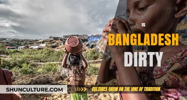 Exploring Bangladesh's Cleanliness: Reality vs. Perception and Progress