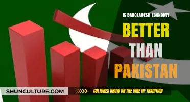 Bangladesh vs. Pakistan: Which Economy Leads in South Asia?