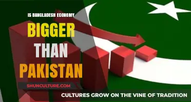 Bangladesh vs. Pakistan: Which Economy Reigns Supreme in South Asia?