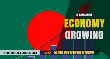 Bangladesh's Economic Growth: Trends, Challenges, and Future Prospects