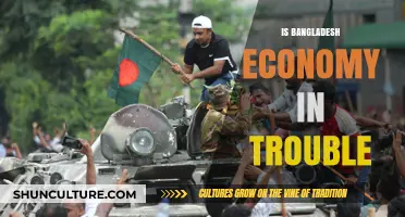 Is Bangladesh's Economy Facing a Troubling Financial Crisis?
