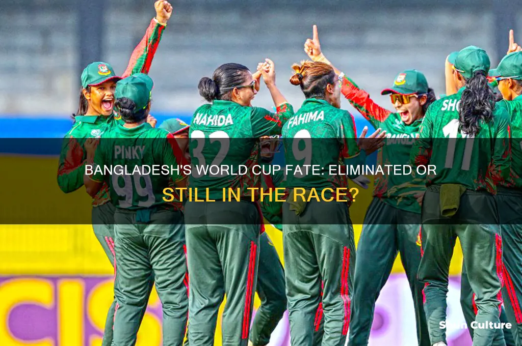 is bangladesh eliminated from world cup
