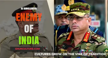 Bangladesh-India Relations: Debunking the Enemy Narrative and Fostering Cooperation