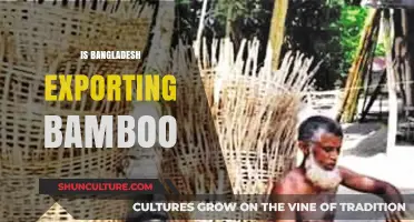 Is Bangladesh Exporting Bamboo? Exploring the Potential and Impact