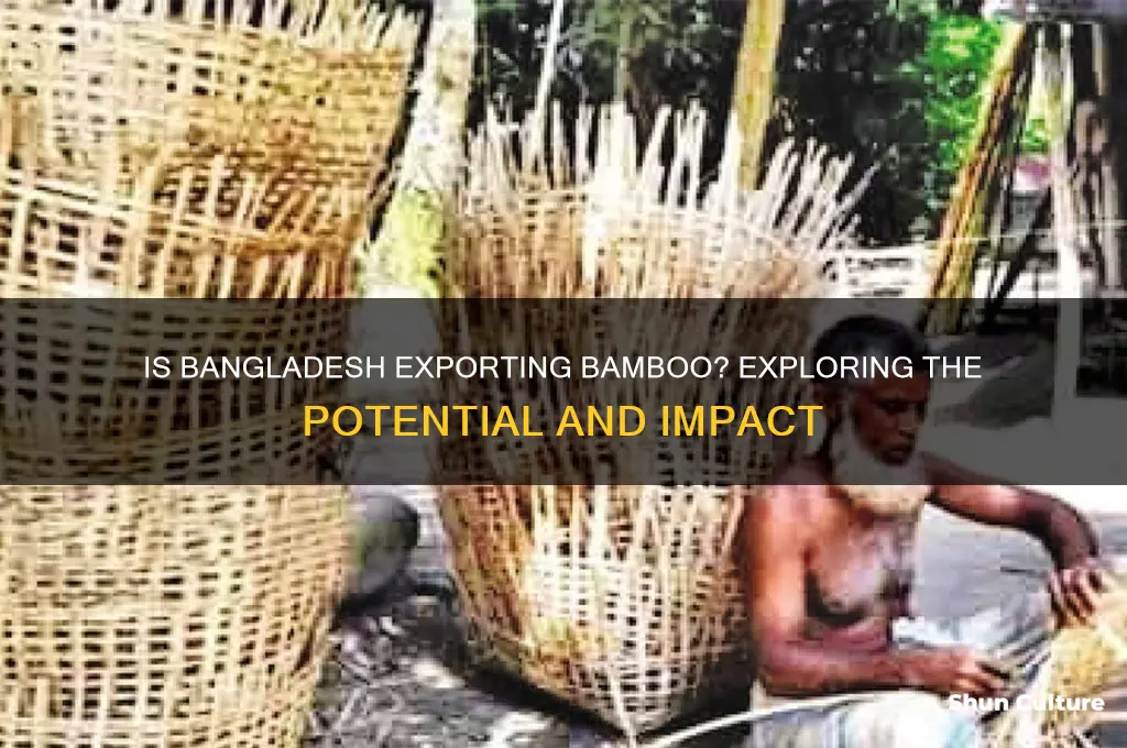 is bangladesh exporting bamboo