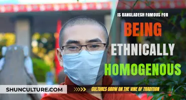 Bangladesh's Ethnic Diversity: Homogenous Nation or Cultural Mosaic?