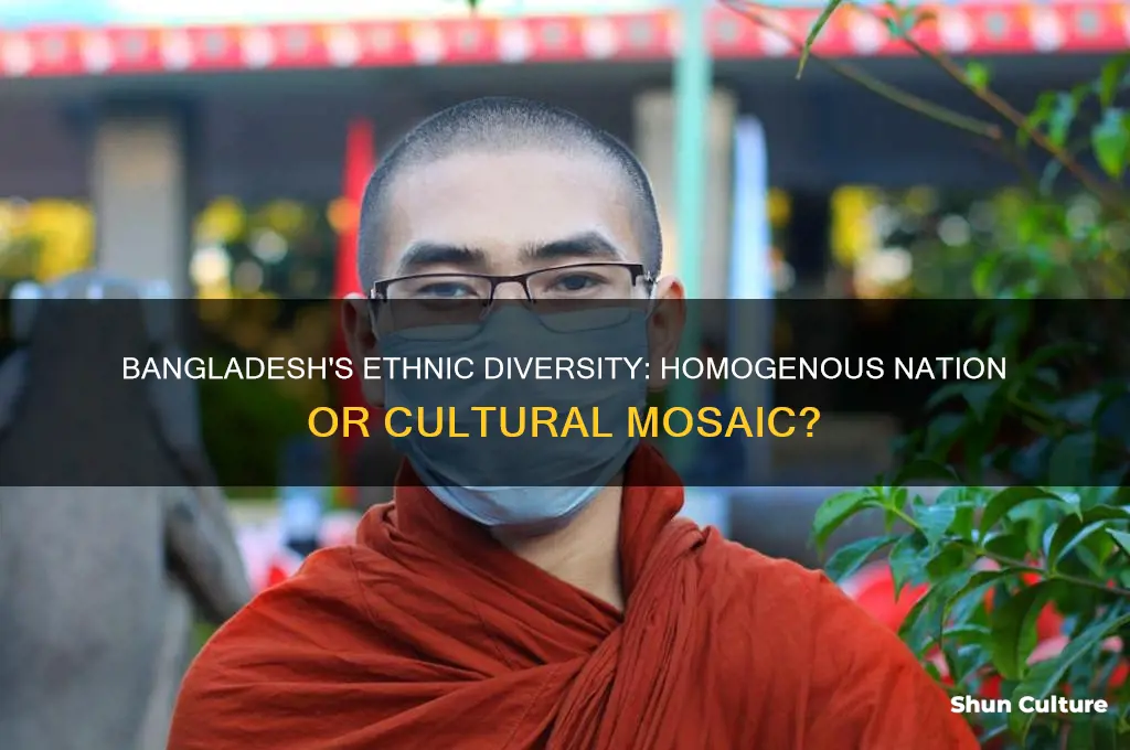 is bangladesh famous for being ethnically homogenous