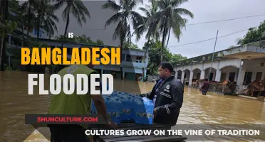 Bangladesh Flood Crisis: Causes, Impacts, and Community Resilience Explained
