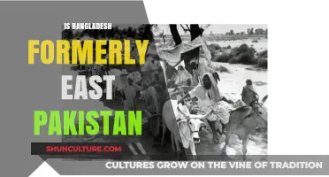 Bangladesh's Past: Unraveling Its History as East Pakistan