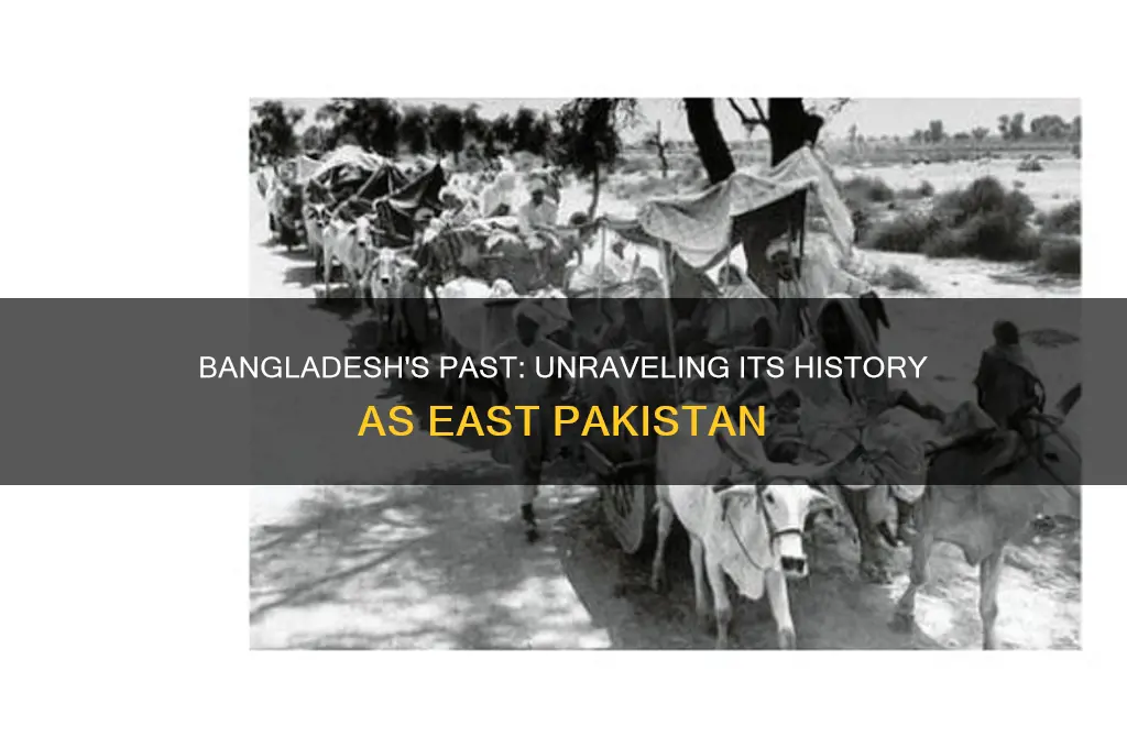 is bangladesh formerly east pakistan