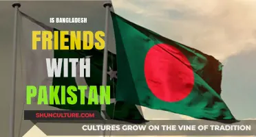 Bangladesh-Pakistan Relations: Friendship, History, and Current Dynamics Explored