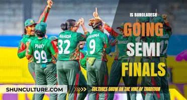 Bangladesh's Semi-Final Chances: Analyzing Their Cricket World Cup Journey
