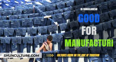 Bangladesh's Manufacturing Potential: Advantages, Challenges, and Global Competitiveness