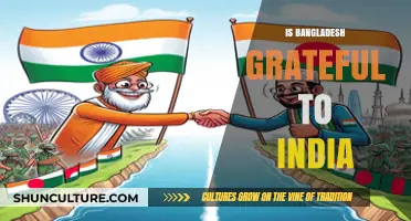Is Bangladesh Grateful to India? Exploring Historical Ties and Mutual Relations