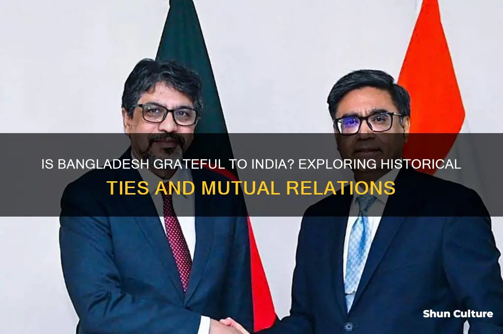 is bangladesh grateful to india