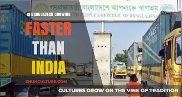 Bangladesh vs. India: Economic Growth Comparison and Surprising Trends