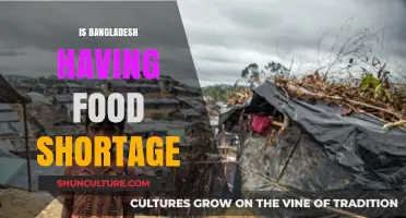 Bangladesh's Food Crisis: Understanding the Current Shortage and Its Impact