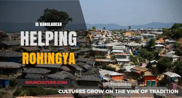 Bangladesh's Role in Supporting Rohingya Refugees: A Humanitarian Perspective