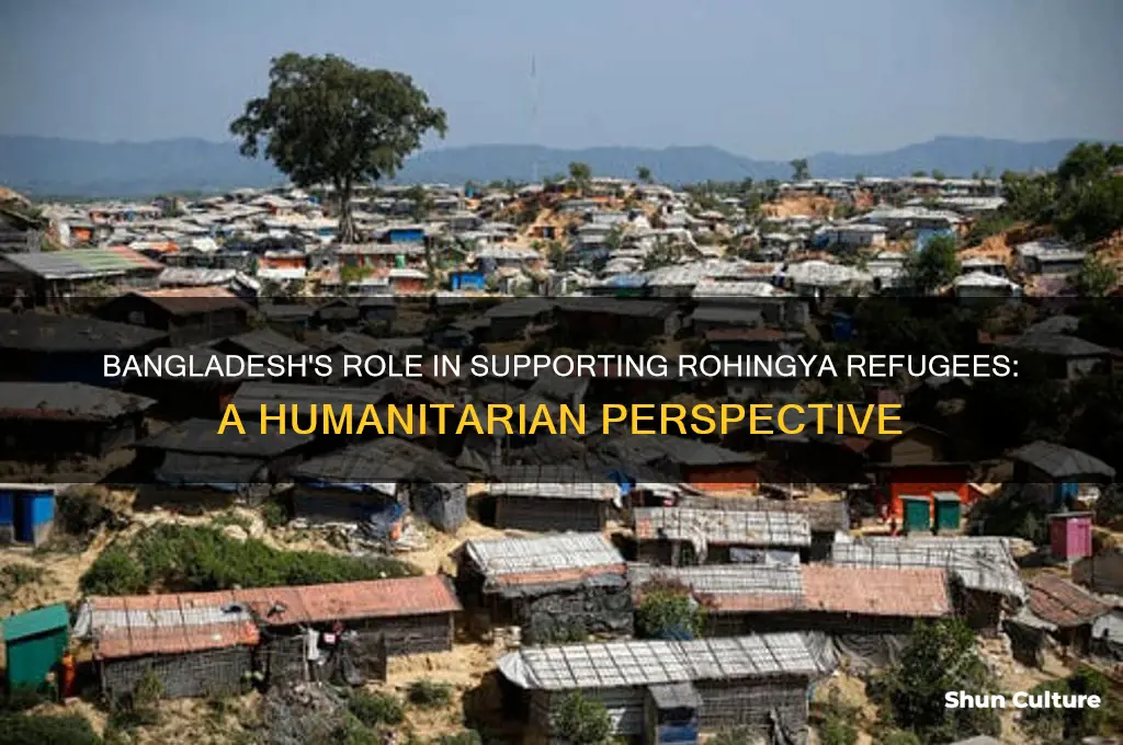 is bangladesh helping rohingya