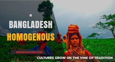 Exploring Bangladesh's Diversity: Is the Nation Truly Homogenous?