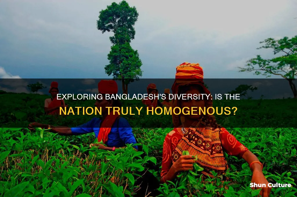 is bangladesh homogenous