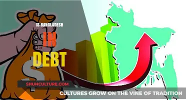 Is Bangladesh in Debt? Analyzing the Country's Financial Obligations