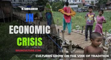 Bangladesh's Economic Crisis: Reality, Challenges, and Path to Recovery