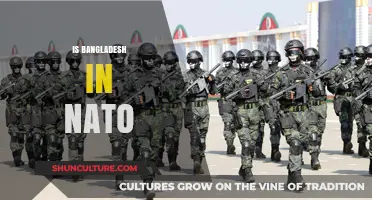 Is Bangladesh a NATO Member? Exploring Its Global Alliances
