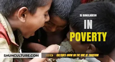 Bangladesh's Poverty: Challenges, Progress, and Pathways to Economic Growth