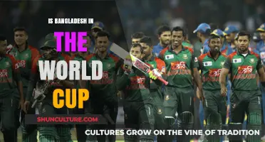 Bangladesh's World Cup Journey: Participation, Performance, and Future Prospects