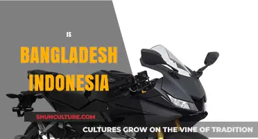 Bangladesh vs. Indonesia: Unraveling the Differences and Similarities