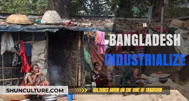 Is Bangladesh Industrialized? Exploring Its Economic Transformation and Progress