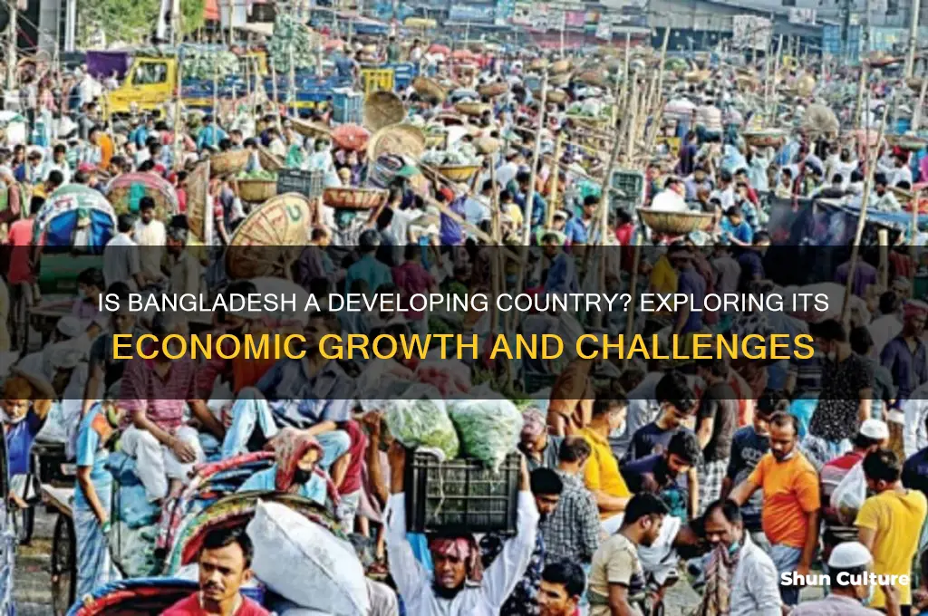 is bangladesh is a developing country