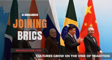 Bangladesh's Potential BRICS Membership: Opportunities and Challenges Ahead