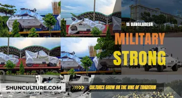 Assessing Bangladesh's Military Strength: Capabilities, Challenges, and Regional Role