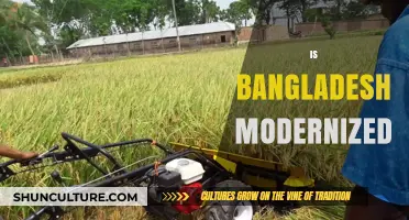 Bangladesh's Modernization Journey: Progress, Challenges, and Future Prospects