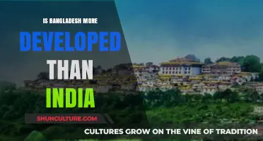 Bangladesh vs. India: Comparing Development Trajectories and Achievements