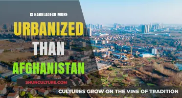 Urbanization Comparison: Is Bangladesh More Urbanized Than Afghanistan?