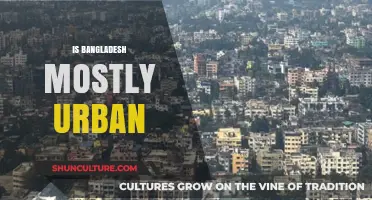 Exploring Bangladesh's Urbanization: Is the Country Mostly Urban?