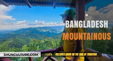 Exploring Bangladesh's Terrain: Is It a Mountainous Country?