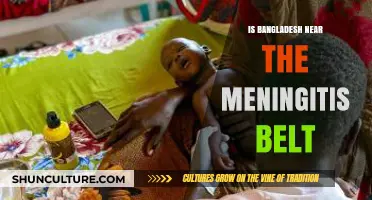 Is Bangladesh Near the Meningitis Belt? Exploring Geographic Risks