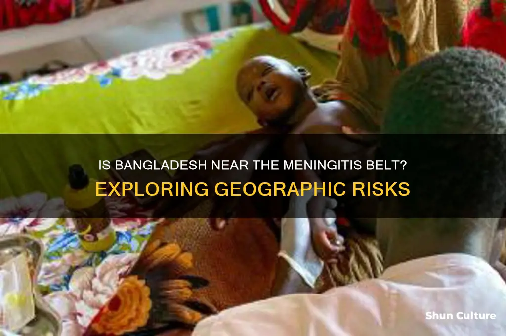 is bangladesh near the meningitis belt