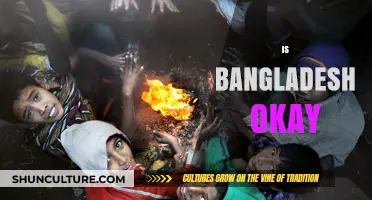 Is Bangladesh Okay? Exploring Challenges, Progress, and Future Prospects