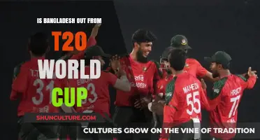 Bangladesh's T20 World Cup Exit: What Went Wrong and What's Next?