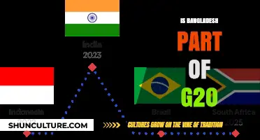 Is Bangladesh in G20? Exploring Membership and Global Influence
