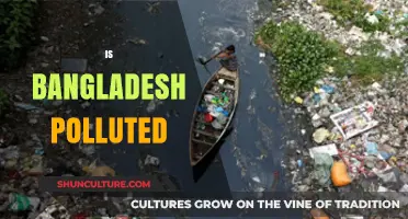 Bangladesh's Pollution Crisis: Causes, Impacts, and Urgent Solutions Needed