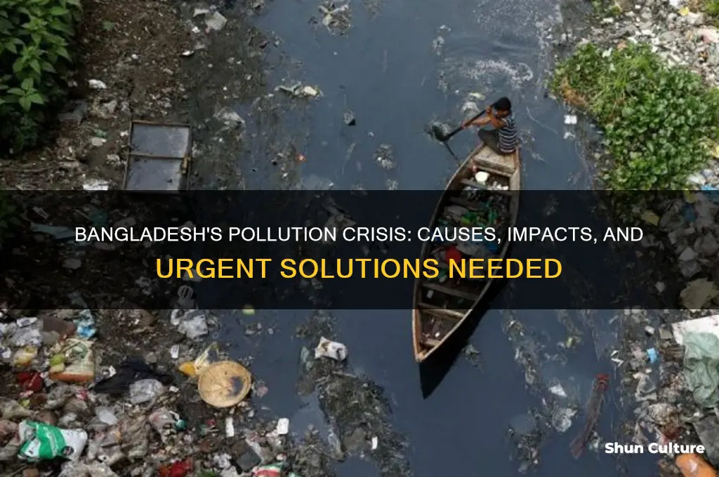 is bangladesh polluted
