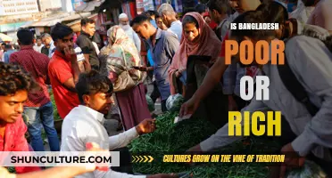 Bangladesh's Economy: Unveiling the Truth Behind Wealth and Poverty