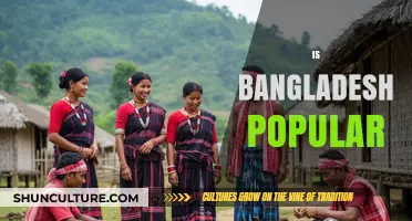 Exploring Bangladesh's Global Appeal: Culture, Tourism, and Rising Popularity