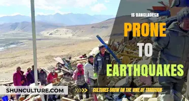 Bangladesh's Seismic Risk: Understanding Earthquake Vulnerability and Preparedness